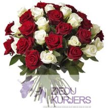 Baltas un sarkanas rozes: Белые и красные розы. gab. 75.00 €
