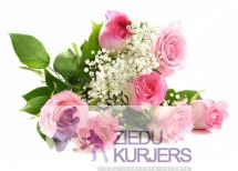 7 rozā rozes: 7 pозовые розы. шт. 25.00 €