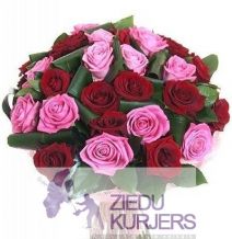 Sarkanas un rozā rozes: Красные и  Розовые розы: Red and pink roses. шт. 89.00 €